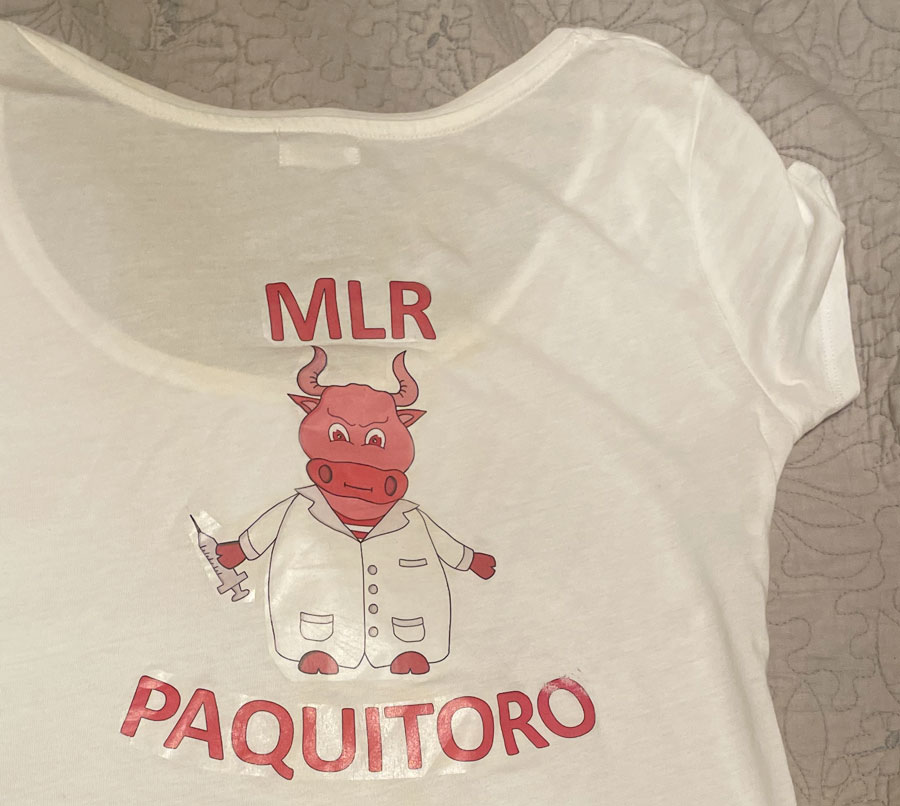 Mascotte réalisée pour le team building d'une équipe de chercheurs en biologie - Tablette graphique